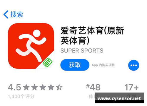 爱奇艺成立于哪一年？(什么叫爱奇艺app？)